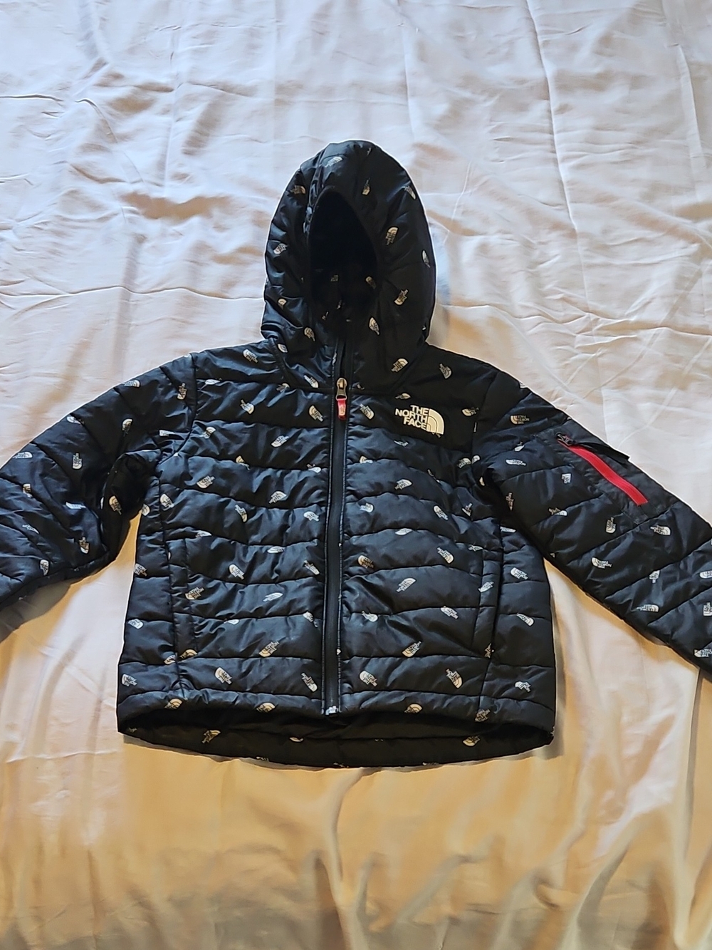 The North Face Kids Black Hooded Puffer Jacket with Red Zip Accent